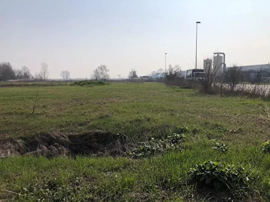 Immagine 2 di Terreno in vendita  in Via Cavour a Este