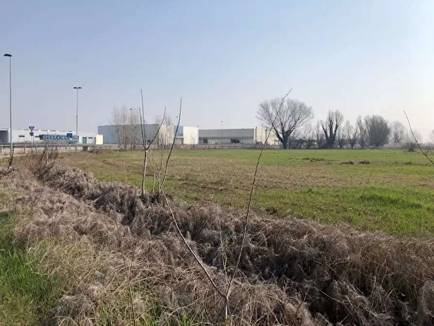 Immagine 3 di Terreno in vendita  in Via Cavour a Este