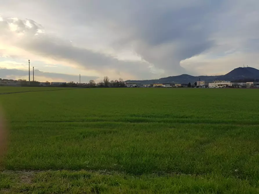 Immagine 6 di Terreno in vendita  in Via Cavour a Este