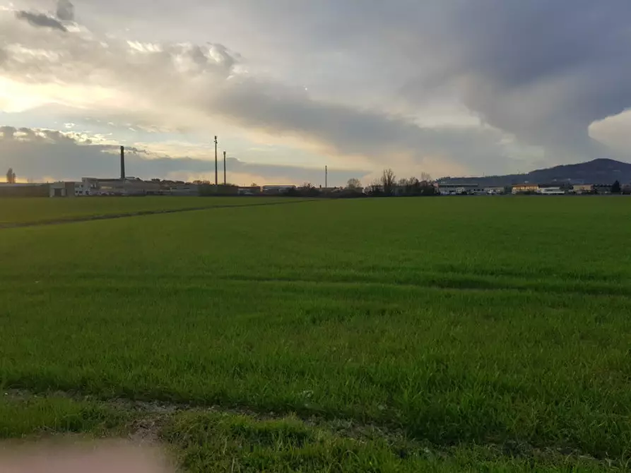 Immagine 7 di Terreno in vendita  in Via Cavour a Este