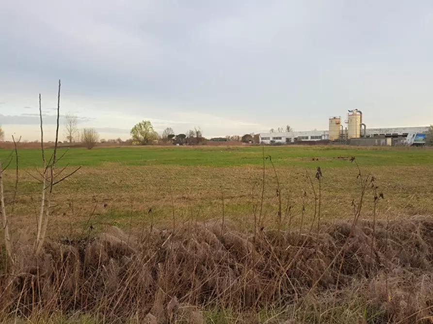 Immagine 13 di Terreno in vendita  in Via Cavour a Este