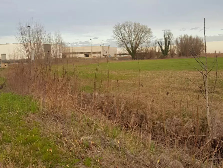 Immagine 14 di Terreno in vendita  in Via Cavour a Este