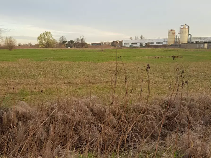 Immagine 15 di Terreno in vendita  in Via Cavour a Este