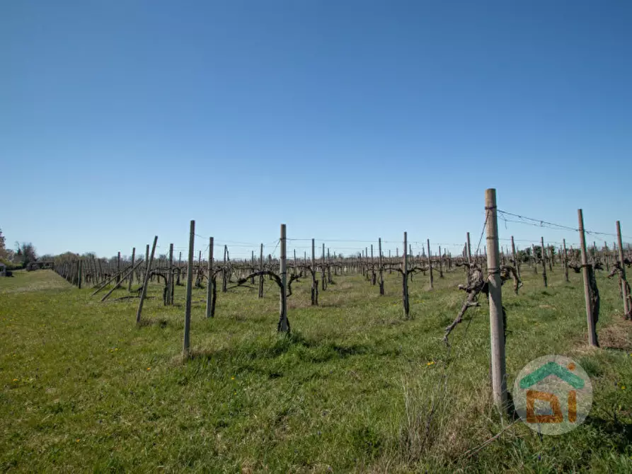 Immagine 2 di Rustico / casale in vendita  in via Soleschiano, 6 a San Pier D'isonzo