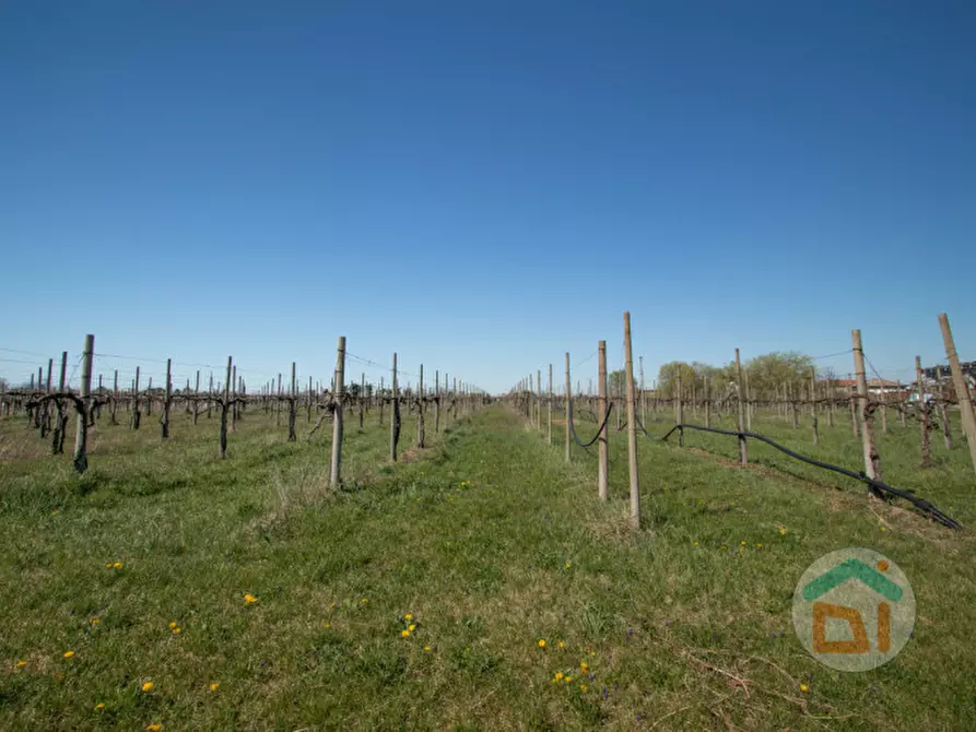 Immagine 3 di Rustico / casale in vendita  in via Soleschiano, 6 a San Pier D'isonzo