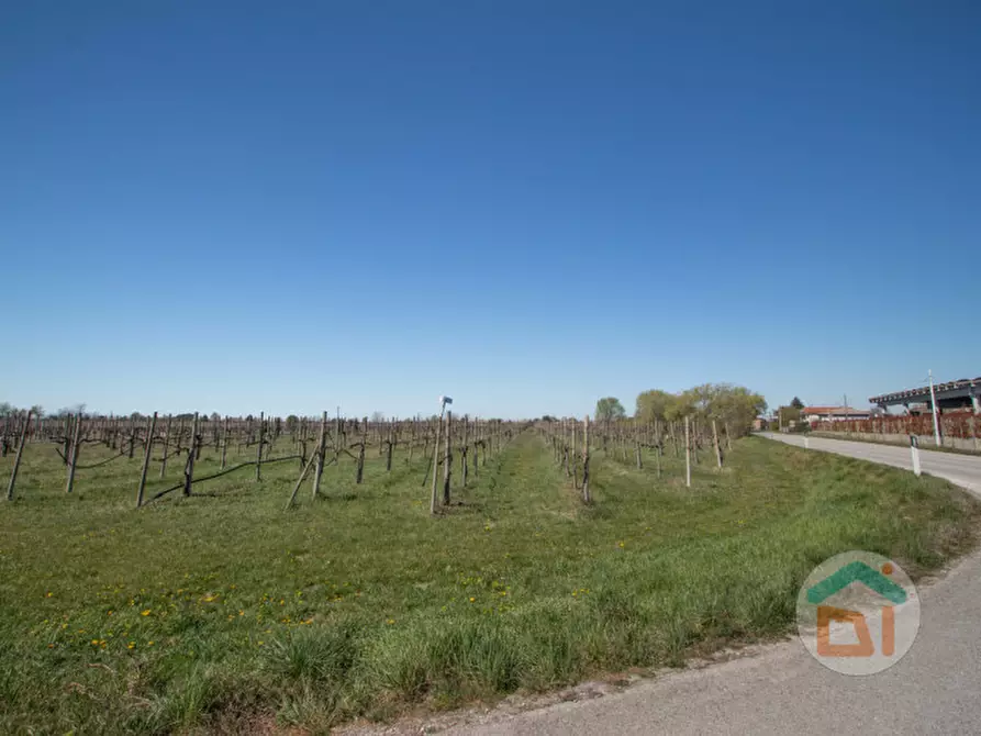 Immagine 4 di Rustico / casale in vendita  in via Soleschiano, 6 a San Pier D'isonzo