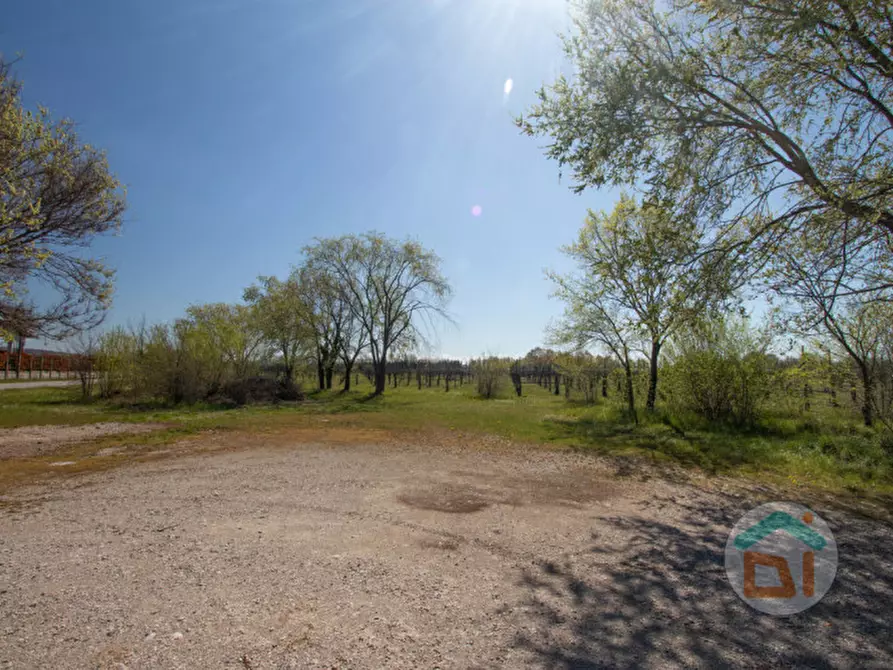 Immagine 5 di Rustico / casale in vendita  in via Soleschiano, 6 a San Pier D'isonzo