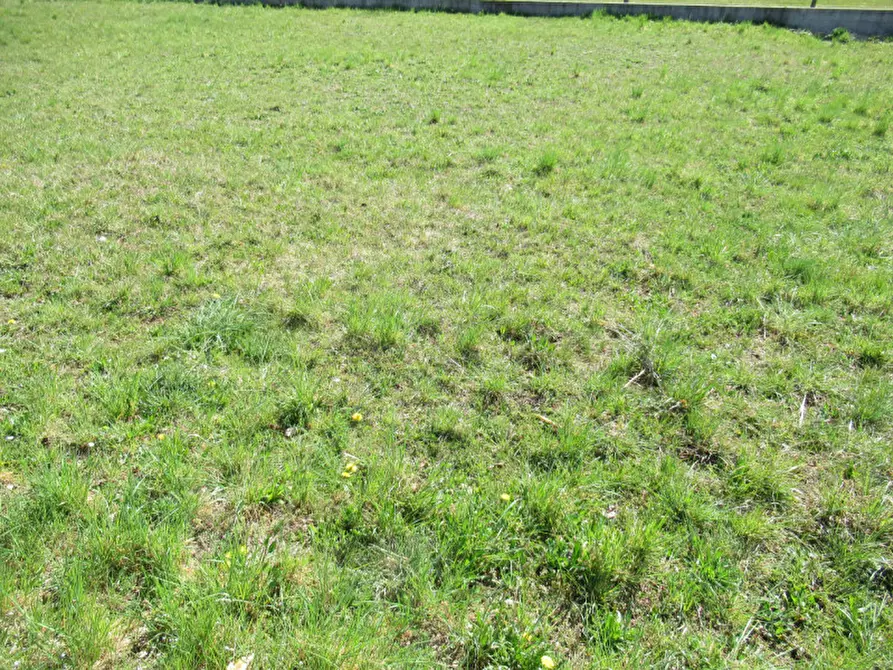 Immagine 14 di Terreno in vendita  in indipendenza a Trevignano