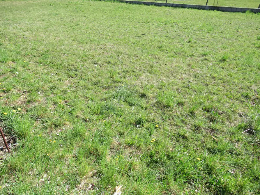 Immagine 17 di Terreno in vendita  in indipendenza a Trevignano