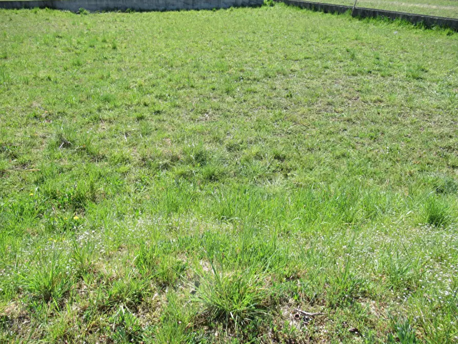 Immagine 1 di Terreno in vendita  in indipendenza a Trevignano