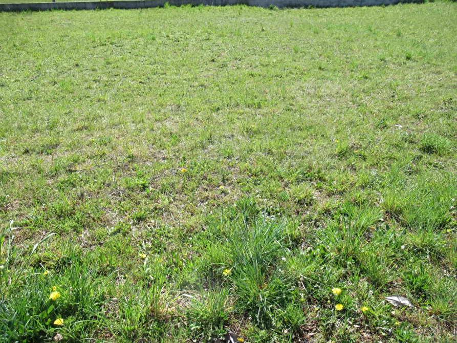 Immagine 5 di Terreno in vendita  in indipendenza a Trevignano