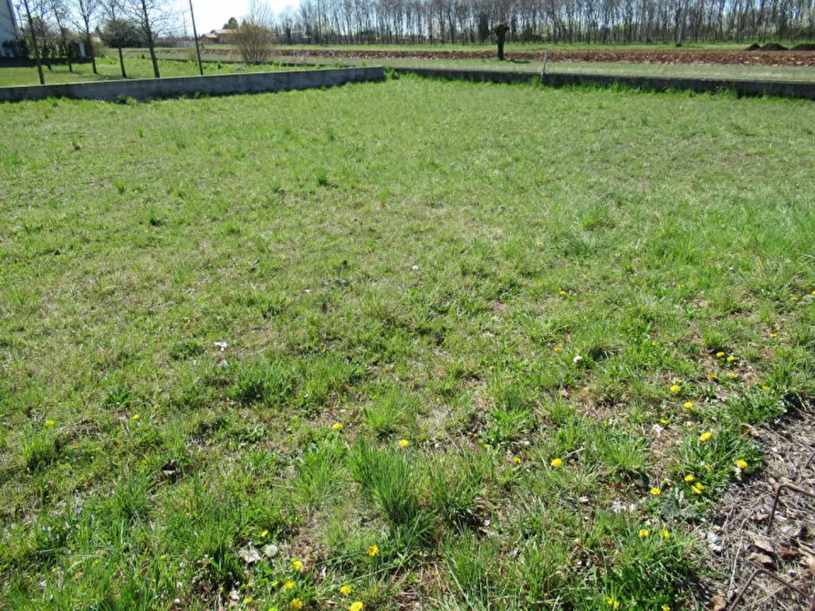 Immagine 6 di Terreno in vendita  in indipendenza a Trevignano