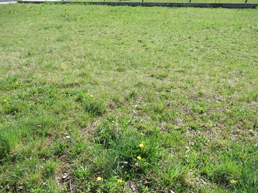 Immagine 8 di Terreno in vendita  in indipendenza a Trevignano