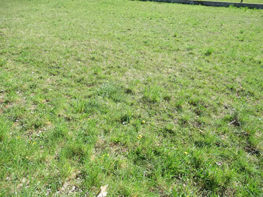 Immagine 12 di Terreno in vendita  in indipendenza a Trevignano