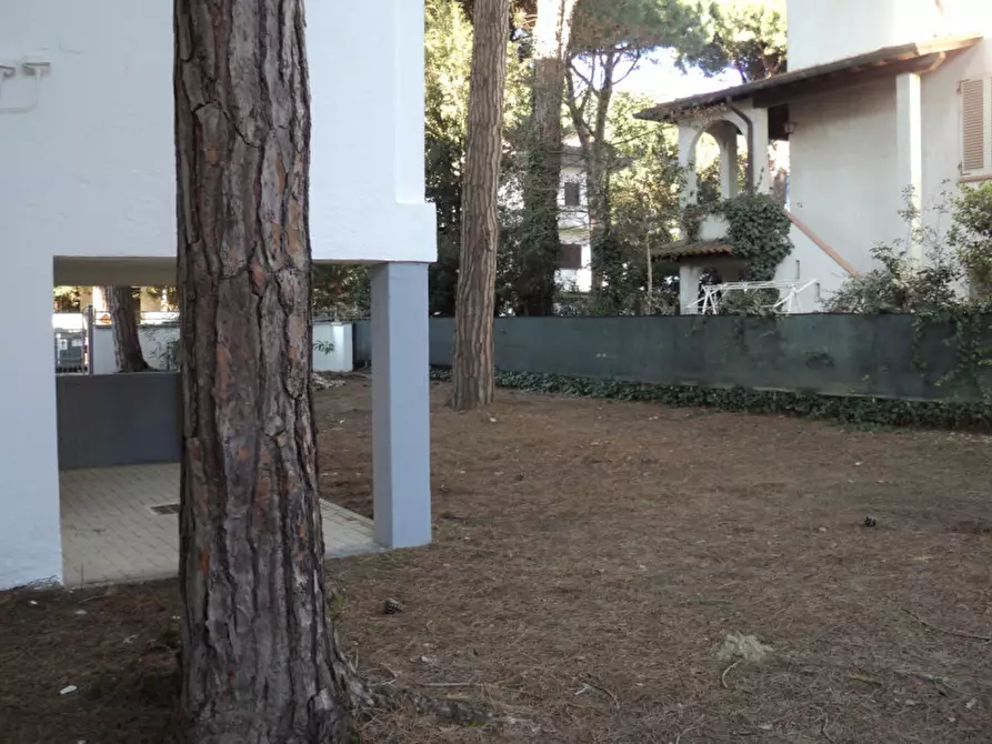 Immagine 24 di Appartamento in vendita  in viale leonardo 53 a Comacchio