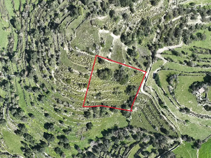 Immagine 1 di Terreno in vendita  in Contrada Bellocozzo a Ragusa