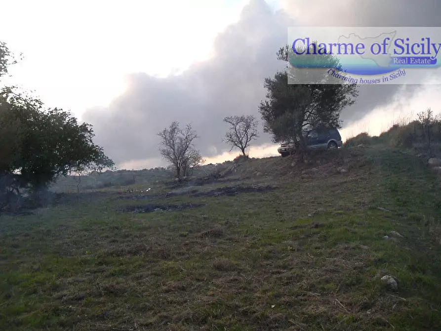 Immagine 7 di Terreno in vendita  in Contrada Bellocozzo a Ragusa