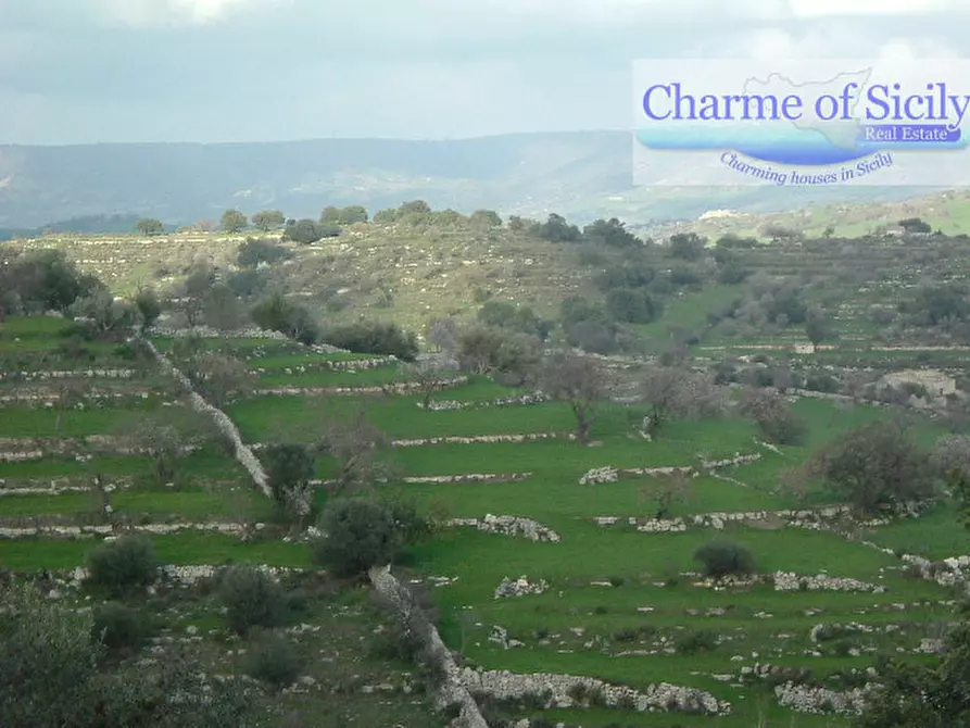 Immagine 7 di Terreno in vendita  in Contrada Bellocozzo a Ragusa