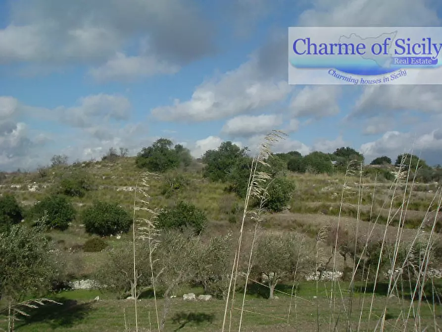 Immagine 13 di Terreno in vendita  in Contrada Bellocozzo a Ragusa