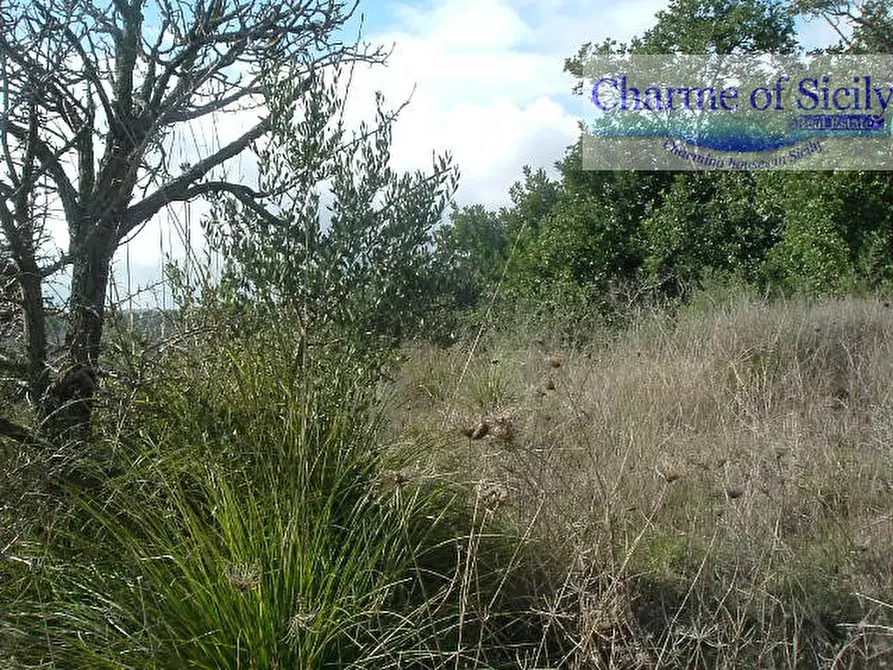 Immagine 13 di Terreno in vendita  in Contrada Bellocozzo a Ragusa