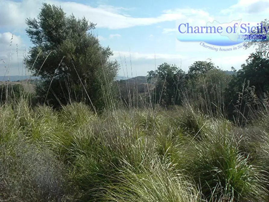 Immagine 16 di Terreno in vendita  in Contrada Bellocozzo a Ragusa