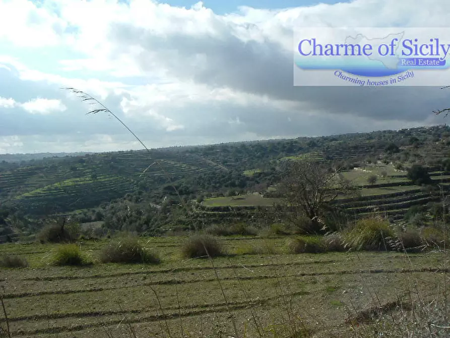 Immagine 18 di Terreno in vendita  in Contrada Bellocozzo a Ragusa