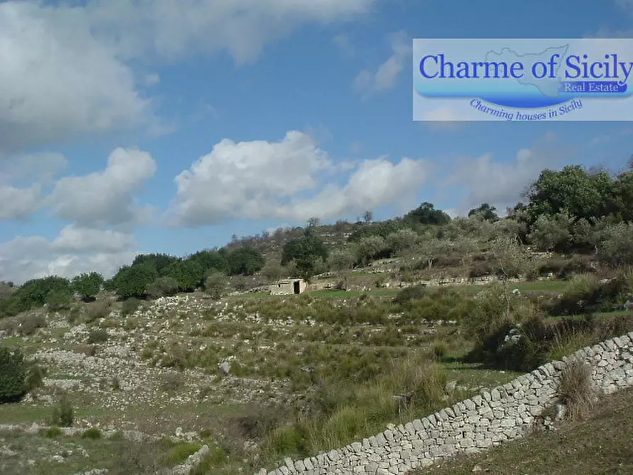 Immagine 21 di Terreno in vendita  in Contrada Bellocozzo a Ragusa