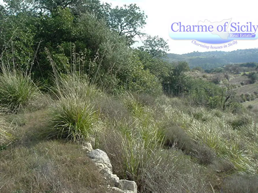 Immagine 22 di Terreno in vendita  in Contrada Bellocozzo a Ragusa