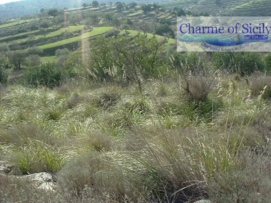 Immagine 23 di Terreno in vendita  in Contrada Bellocozzo a Ragusa