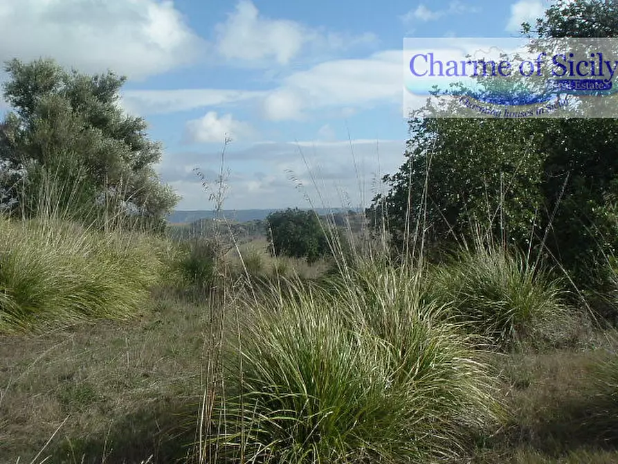 Immagine 23 di Terreno in vendita  in Contrada Bellocozzo a Ragusa