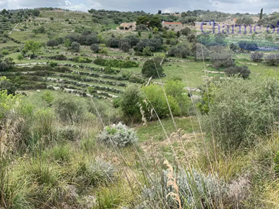 Immagine 31 di Terreno in vendita  in Contrada Bellocozzo a Ragusa