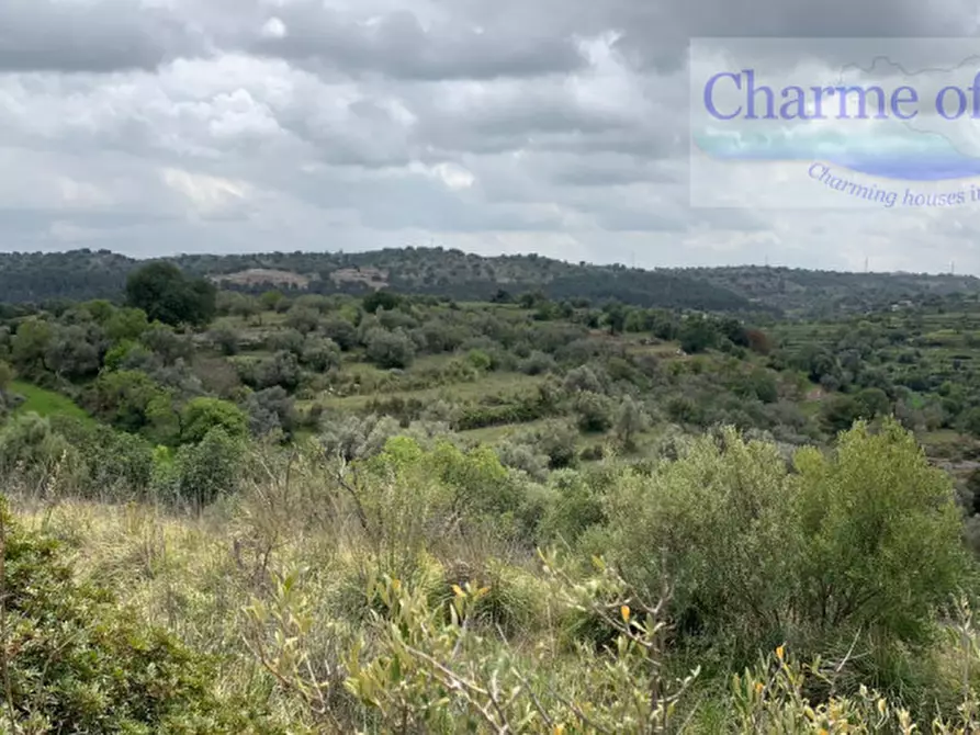 Immagine 31 di Terreno in vendita  in Contrada Bellocozzo a Ragusa
