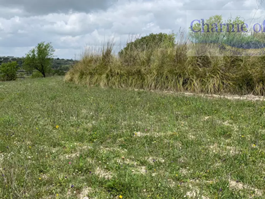 Immagine 33 di Terreno in vendita  in Contrada Bellocozzo a Ragusa