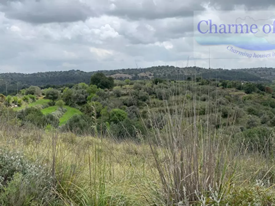 Immagine 34 di Terreno in vendita  in Contrada Bellocozzo a Ragusa