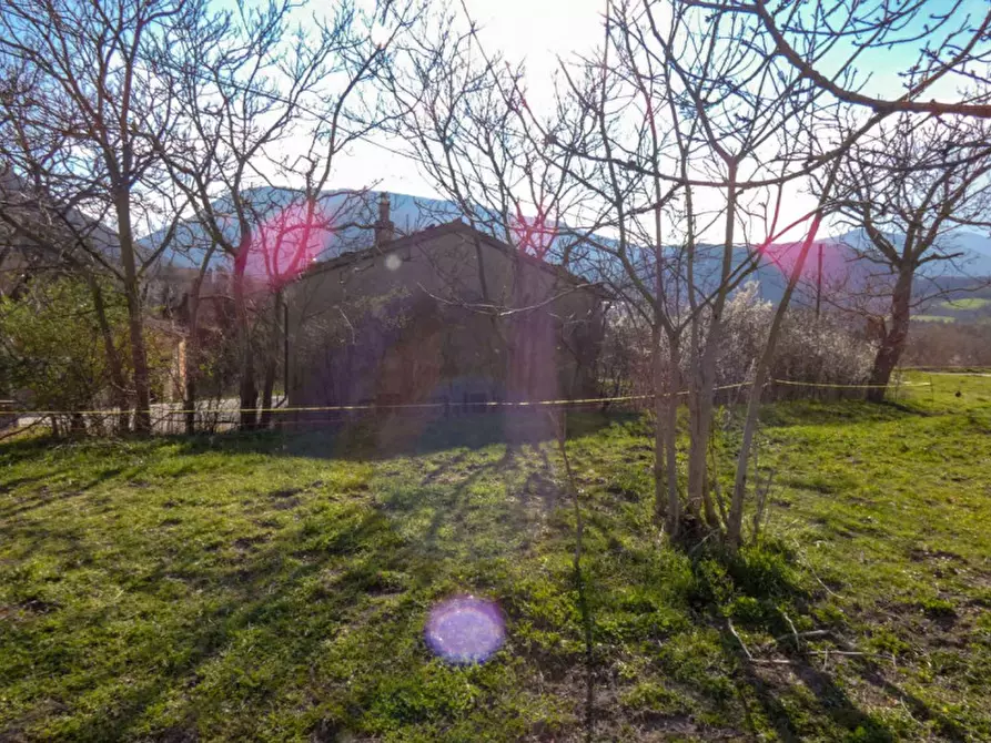 Immagine 8 di Rustico / casale in vendita  in strada Molaccione a Cagli