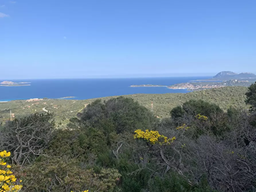 Immagine 8 di Rustico / casale in vendita  in VIA ROCCE SARDE a Olbia