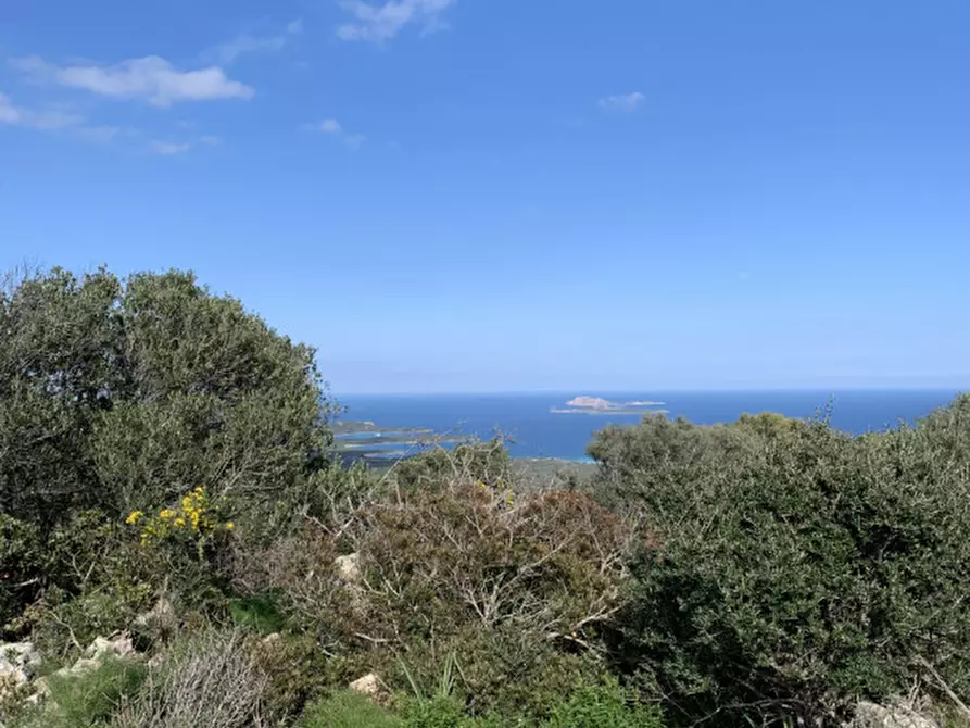 Immagine 9 di Rustico / casale in vendita  in VIA ROCCE SARDE a Olbia