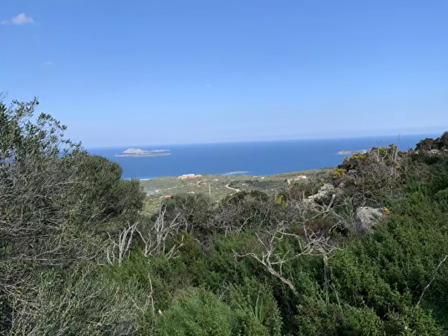 Immagine 11 di Rustico / casale in vendita  in VIA ROCCE SARDE a Olbia