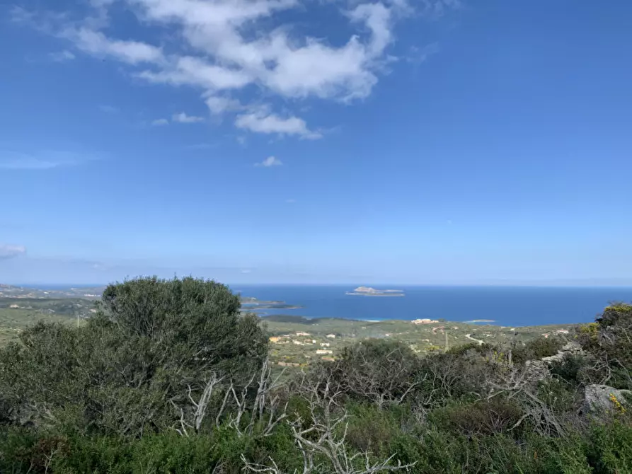 Immagine 12 di Rustico / casale in vendita  in VIA ROCCE SARDE a Olbia