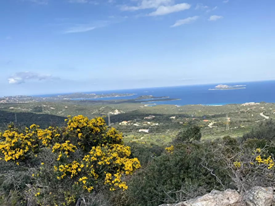Immagine 13 di Rustico / casale in vendita  in VIA ROCCE SARDE a Olbia