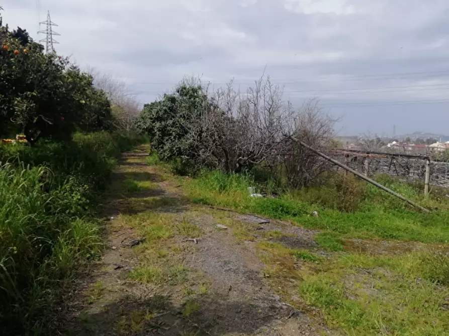 Immagine 3 di Terreno in vendita  in contrada rosa a San Filippo Del Mela