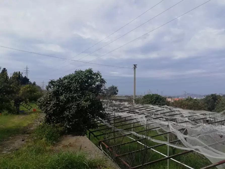 Immagine 5 di Terreno in vendita  in contrada rosa a San Filippo Del Mela