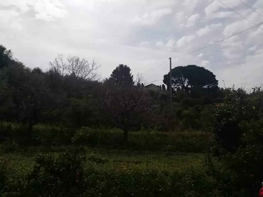 Immagine 11 di Terreno in vendita  in contrada rosa a San Filippo Del Mela