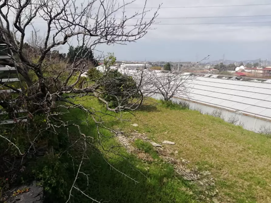 Immagine 12 di Terreno in vendita  in contrada rosa a San Filippo Del Mela