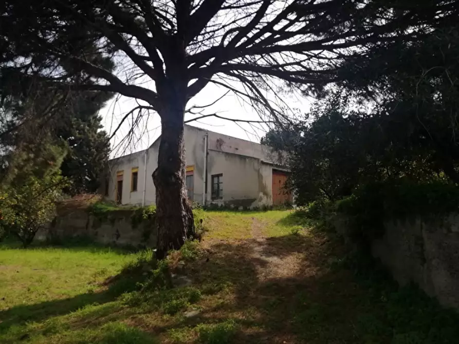 Immagine 28 di Terreno in vendita  in contrada rosa a San Filippo Del Mela