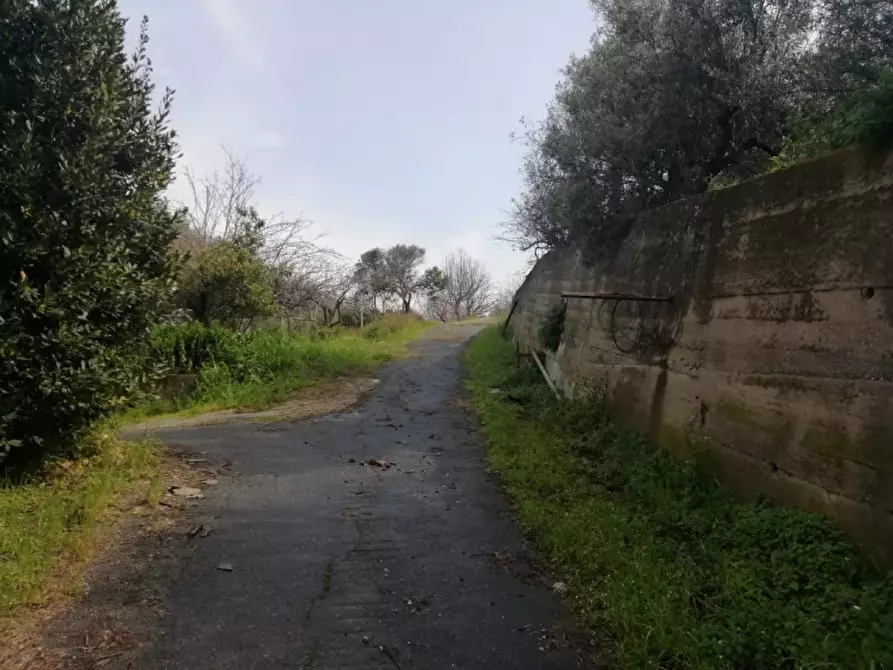 Immagine 31 di Terreno in vendita  in contrada rosa a San Filippo Del Mela