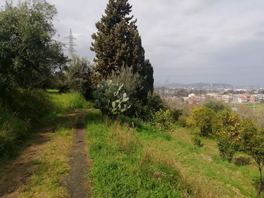 Immagine 41 di Terreno in vendita  in contrada rosa a San Filippo Del Mela