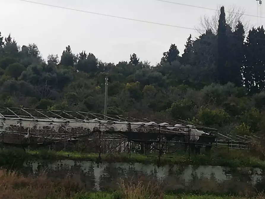 Immagine 48 di Terreno in vendita  in contrada rosa a San Filippo Del Mela