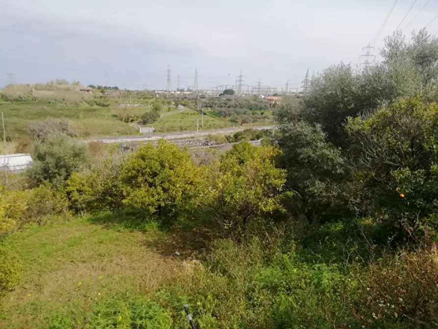Immagine 9 di Terreno in vendita  in strada rosa a San Filippo Del Mela