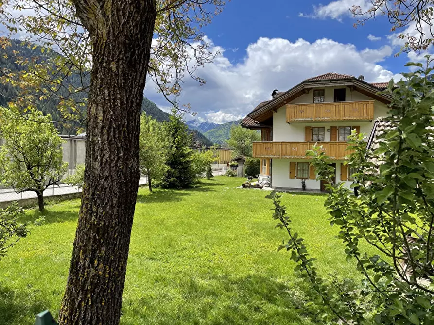 Immagine 5 di Terreno in vendita  in Via Mazzini a Porte Di Rendena